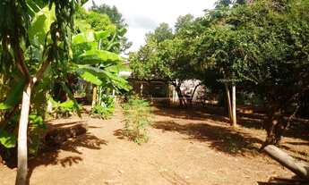 Imagem 3: Araçatuba - Lote/Terreno - Petit-Trianon