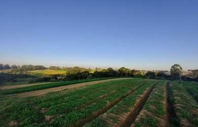 Imagem 2: Terreno em Ibiúna com Fácil Acesso a Cotia SP