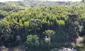 Imagem: Sitio 67 Alqueires Ribeirão Branco próximo