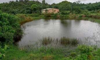 Imagem 6: Sítio em povoado Rio das Pedras Branca-Se Areia