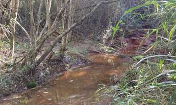Imagem 3: Área em rio acima