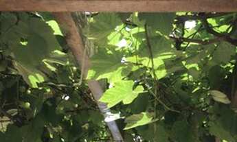 Imagem 6: Eduardo . CASA EM CONDOMÍNIO NO EMBU-GUAÇU, LOCALIZADA NO CONDOMÍNIO FAZENDA DA ILHA