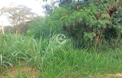 Imagem 4: Terreno - Loteamento Caminhos de São Conrado (Sousas) - Campinas