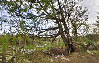 Imagem 2: área - Chácaras Campos dos Amarais - Campinas