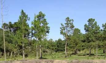 Imagem 2: Chácara Chácara com venda por R$460.000