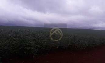 Imagem 5: Fazenda à venda, 3751000 m² - Centro - Cornélio Procópio/PR