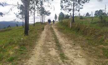 Imagem 3: Lote/Terreno para venda com 600 metros quadrados em Centro - Mairiporã - SP