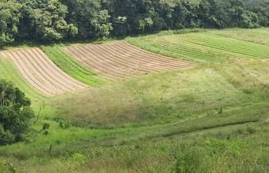Imagem 2: Realize seu sonho casa no campo - Cotia - SP