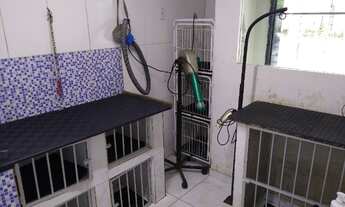 Imagem 2: Consultorio veterinario e Pet Shop