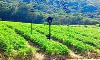 Imagem 4: 03o-Terrenos em excelente localização