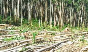 Imagem: Lote/Terreno para venda possui 2,500metros