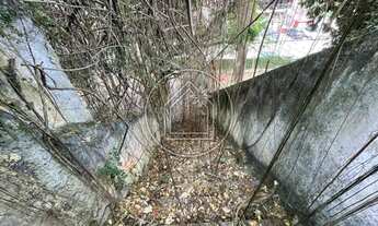 Imagem 5: Ótimo terreno aclive, medindo 12 metros de frente de rua e fundos com 45 metros de ambos