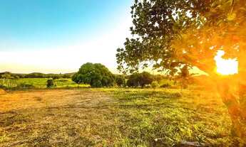 Imagem 3: Terreno no Povoado Grotão