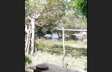 Imagem 2: Vendo terreno em urucara