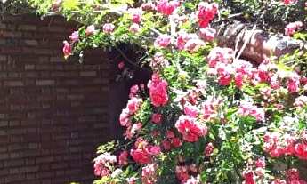 Imagem 5: Sítio à venda no Rio das Pedras, em Apiaí/SP 12 alqueires