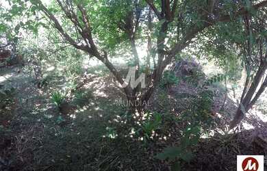 Imagem 4: Terreno (terreno normal