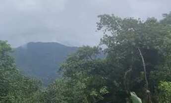 Imagem 1: Chácara em Tijucas do Sul