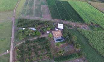 Imagem: Sítio em Dores 15 tarefas