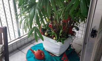 Imagem 7: Apartamento com 2 dormitórios à venda, 80 m² por R$ 550.000,00 - Icaraí - Niterói/RJ