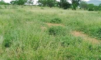 Imagem 5: Fazenda próxima a Itaberaba com duas casas, curral, poço artesiano, boas aguadas