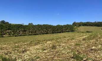 Imagem: Lote/Terreno para venda com 500 metros quadrados