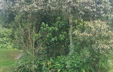 Imagem 2: Lote/Terreno para venda condomínio Granja Anita tem 327 metros Mogi das cruzes