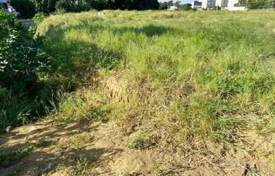 Imagem 6: Vendo - terreno em Laranjeiras Velha- ES