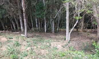 Imagem: Terreno Para Chácara