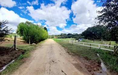 Imagem 7: Chácara a Venda em Contenda Pr