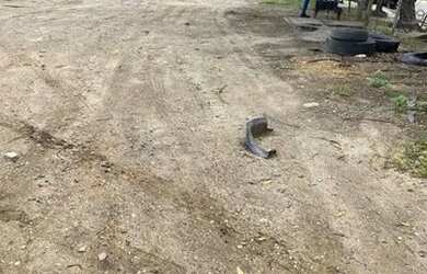 Imagem 3: Vendo- Santa Rita Lote/ terreno à venda 20.000 m² por R$ 3.500.000,00