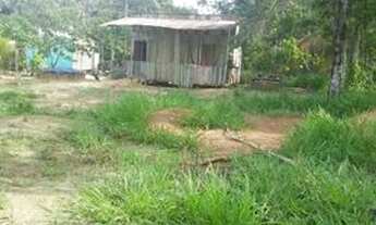 Imagem 3: Vende se essa pequena chácara 15 de frente por 150 de fundo