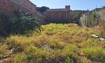 Imagem 4: Vendo Lote Jardim das Margaridas Goianira