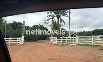 Imagem 7: FAZENDA BOM JESUS - MATO GROSSO