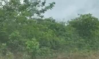 Imagem 3: Terreno em Chapada