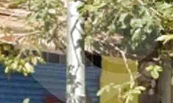 Imagem 7: Terreno à venda em Bela Vista - SP