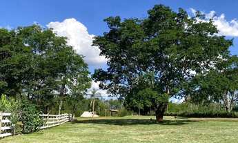 Imagem 6: Aluga-se pasto urbana e 2 terrenos comerciais direto acesso por BR 153 Jaiara/Anápolis