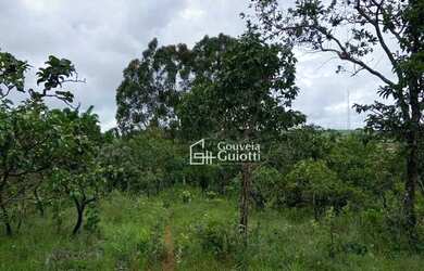 Imagem 3: Confira esta oportunidade imperdível de chácara disponível em Anápolis-GO! APENAS 14Km de