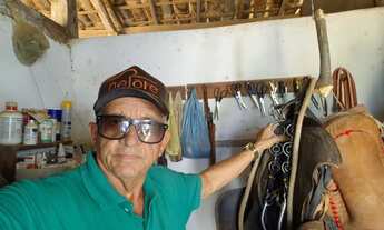 Imagem 6: Excelente fazenda de 650t, curral, poço, riacho, aguadas e muito capim buffel