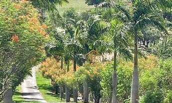 Imagem 6: Sítio com 5 dormitórios à venda, 229900 m² por R$ 5.500.000 - Zona Rural - Cedral/SP