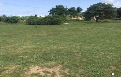 Imagem 6: Terrenos em Jenipabú