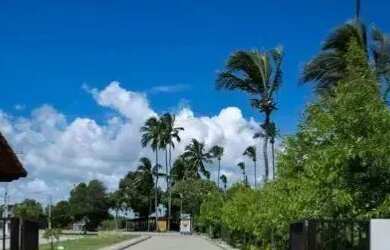 Imagem 4: ADC - JAPARATINGA - TERRENO COM 600 METROS QUADRADOS