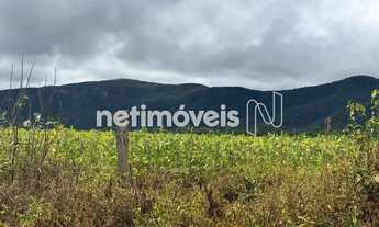 Imagem 5: FAZENDA BOM JESUS - MATO GROSSO