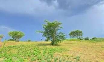 Imagem 5: Terrenos e Lotes em Feira de Santana