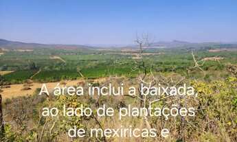 Imagem: Fazenda ideal para plantações