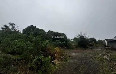 Imagem 5: Imóvel no Vista Alegre, Ivoti