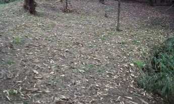 Imagem 5: AREA - JARDIM PROFESSOR BENOÁ - SP