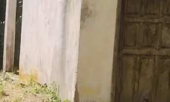 Imagem 3: Terreno localizado em Araruama/bananeiras