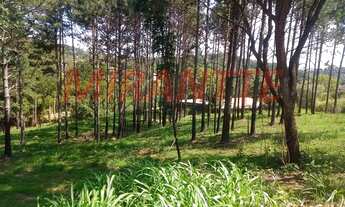 Imagem: Terreno em Alvinópolis