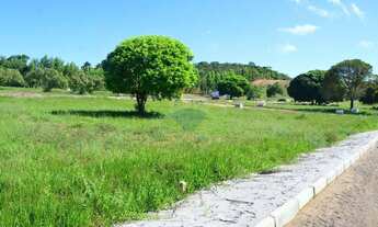 Imagem 2: TERRENOS NO LOTEAMENTO MIRANTE DE MARAGOGI