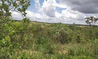 Imagem 4: Terreno de 5ha, com luz e água encanada, próximo a vários comércios e muito mais
